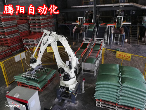 騰陽為企業(yè)量身定制碼垛機器人系統(tǒng)