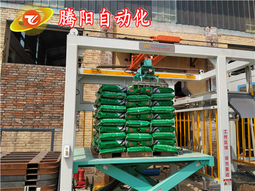 自動(dòng)碼垛機(jī)
