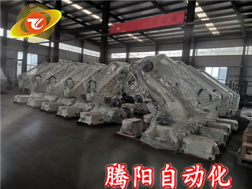 騰陽(yáng)碼垛機(jī)器人提高企業(yè)生產(chǎn)力