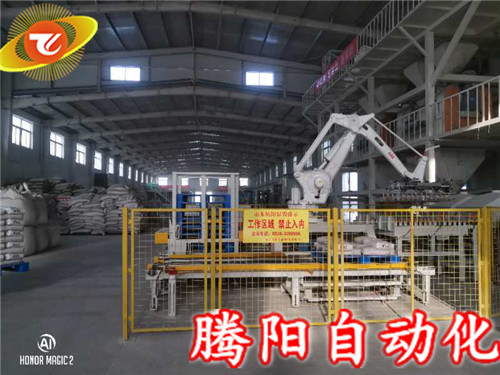 搬運(yùn)碼垛機(jī)可以有效的節(jié)省勞動(dòng)力