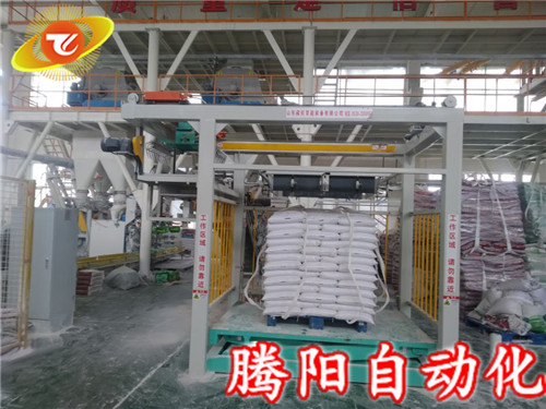 全自動(dòng)碼垛機(jī)被廣泛認(rèn)可的使用的重要原因