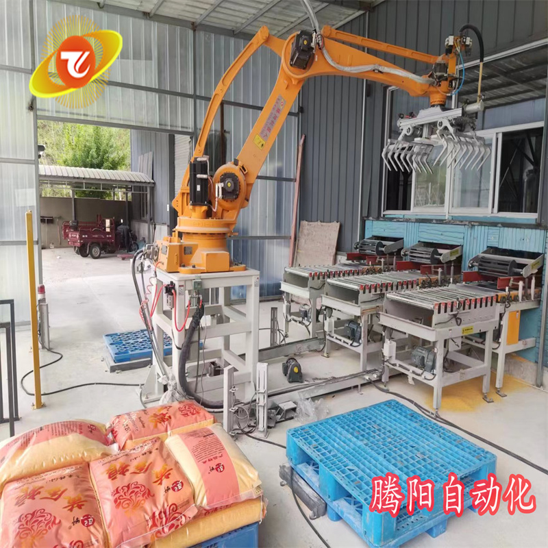 騰陽一機雙抓，雙工位碼垛機